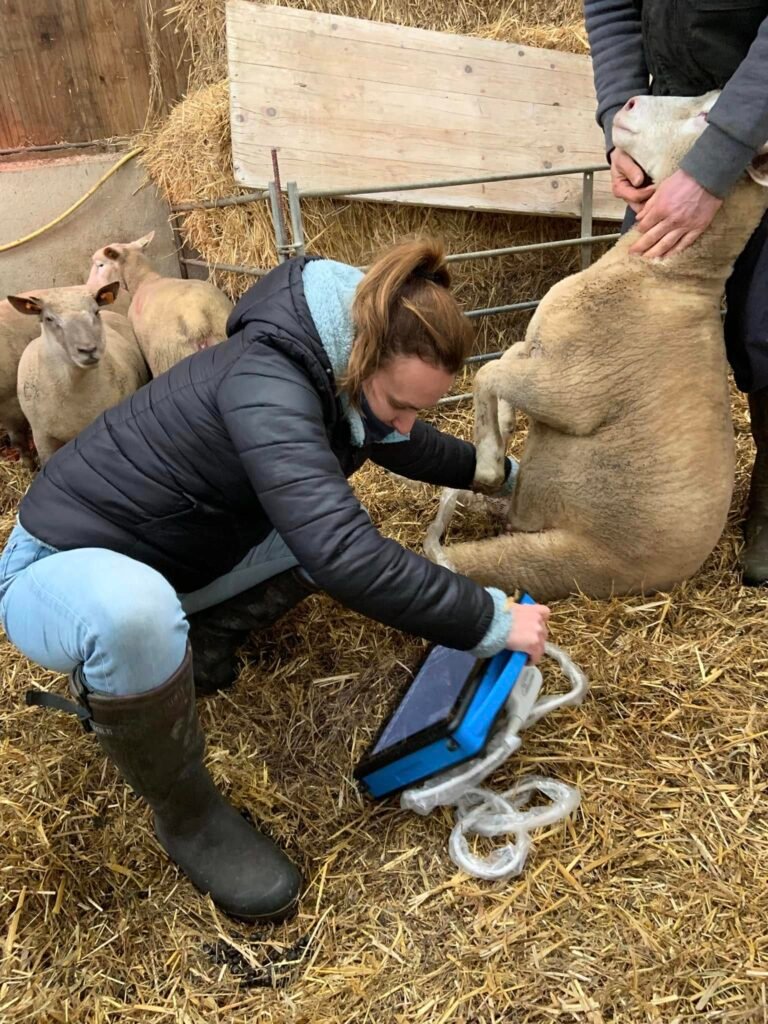 đ„° Nouvel appareil : Mon Ă©cho portable 3